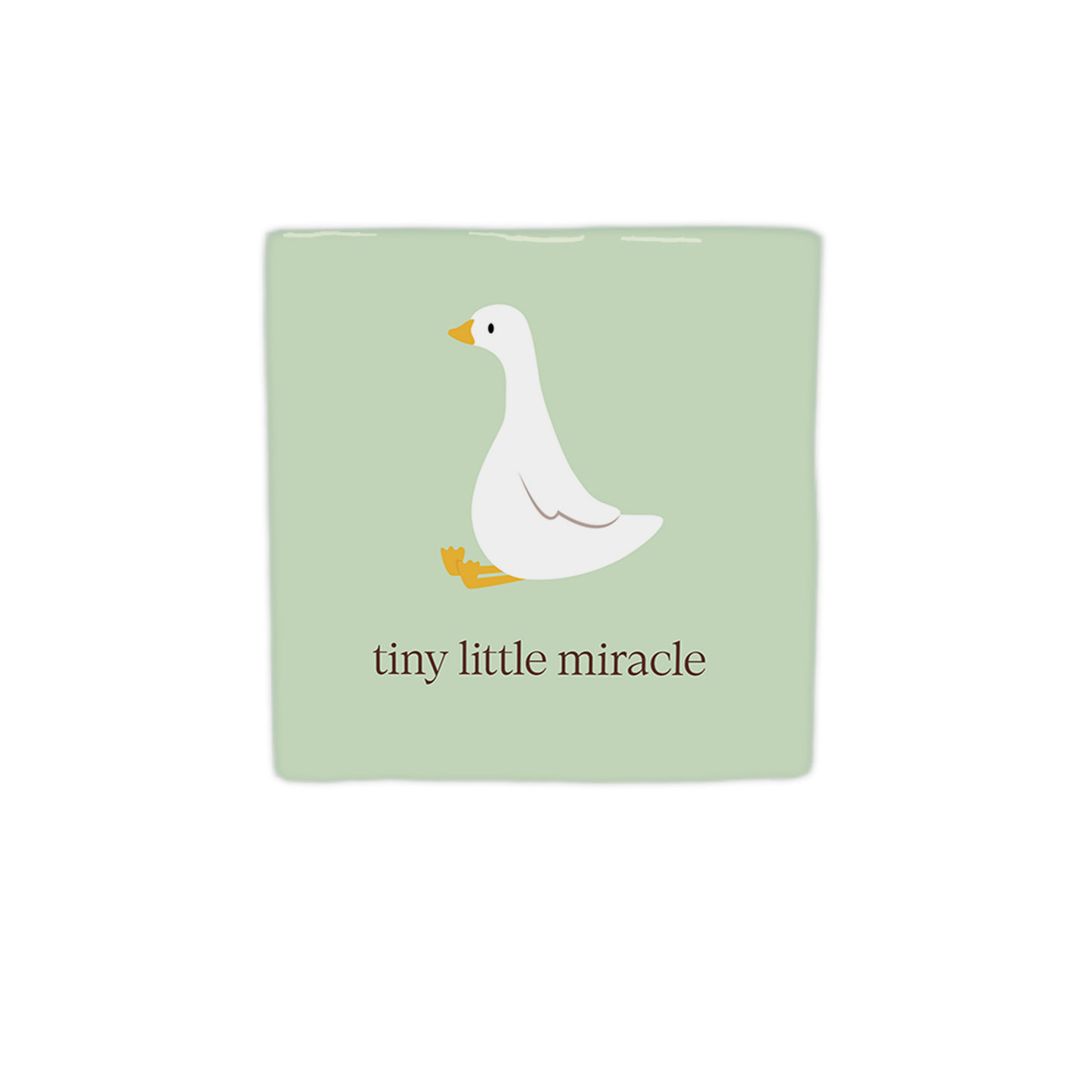 Tiny little miracle