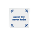 Never try never know