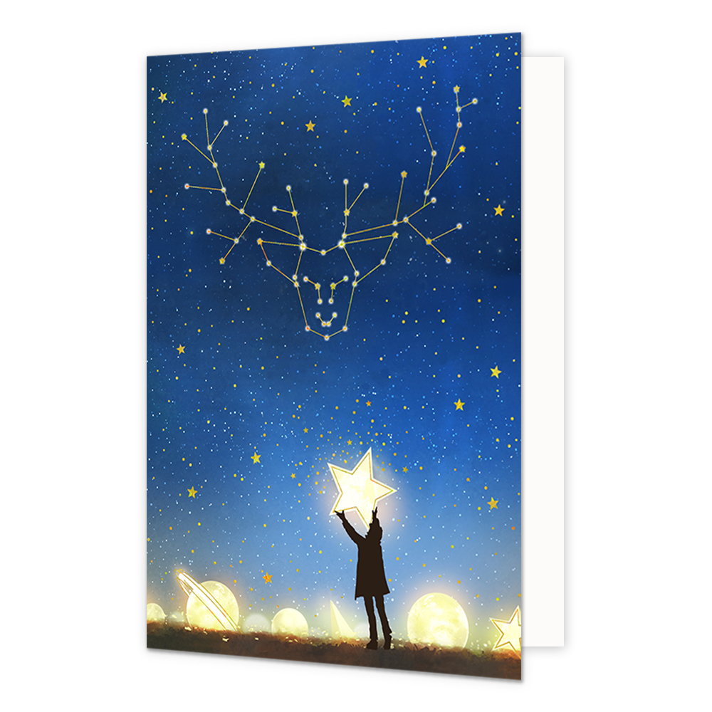 Rendier in de sterren