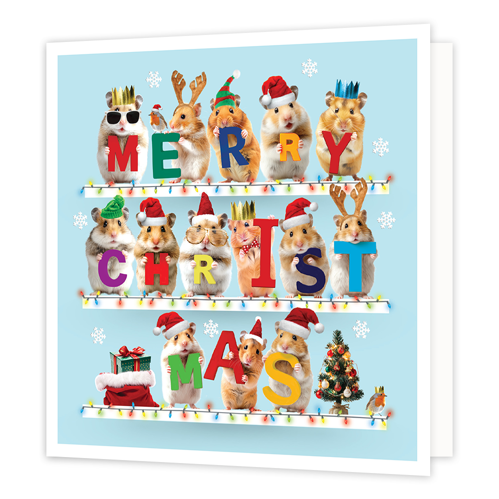 Merry christmas