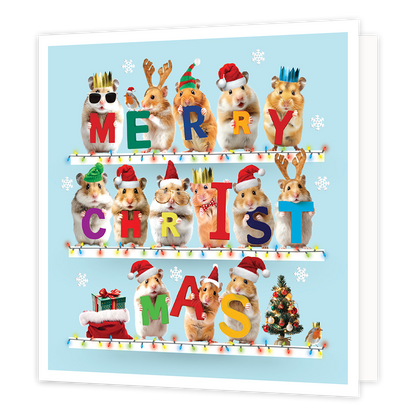Merry christmas