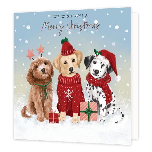 We wish you a merry christmas - Formaat: Groot - Vorm: Vierkant - Kerstkaart - Op deze kerstkaart staan drie honden met daarboven de tekst: "We wish you a merry christmast". - Snelwenskaart
