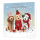 We wish you a merry christmas - Formaat: Groot - Vorm: Vierkant - Kerstkaart - Op deze kerstkaart staan drie honden met daarboven de tekst: "We wish you a merry christmast". - Snelwenskaart