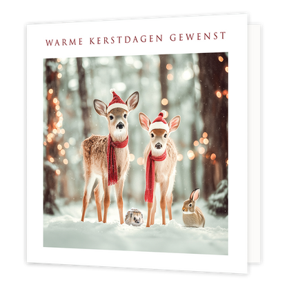 Warme kerstdagen gewenst