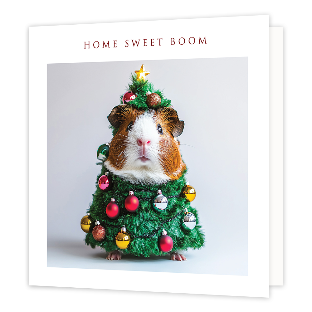 Home sweet boom