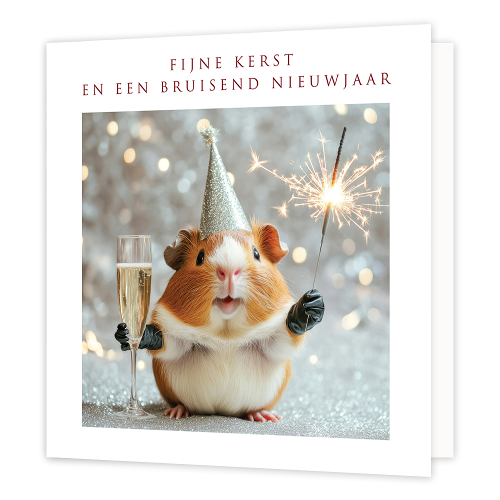 Fijne kerst een een bruisend nieuwjaar