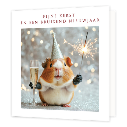 Fijne kerst een een bruisend nieuwjaar