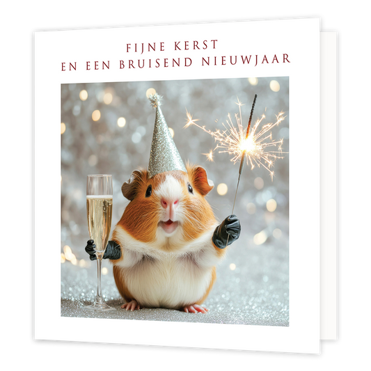 Fijne kerst een een bruisend nieuwjaar