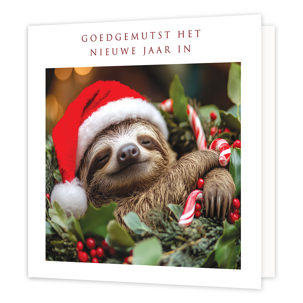 Goedgemutst het nieuwe jaar in