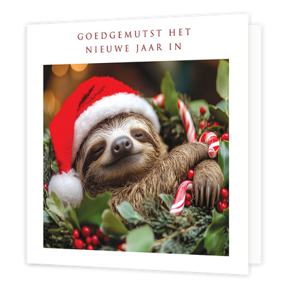Goedgemutst het nieuwe jaar in