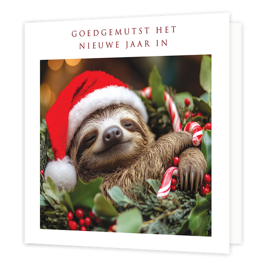 Goedgemutst het nieuwe jaar in