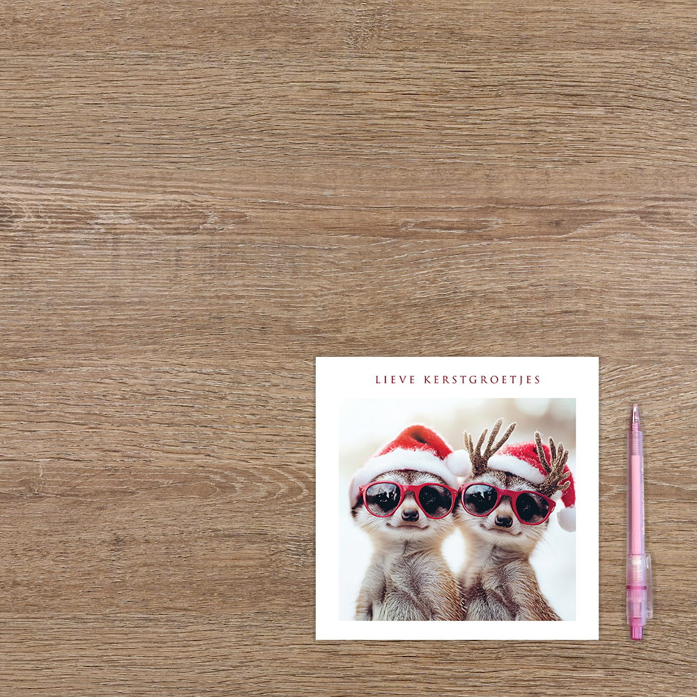 Lieve kerstgroetjes