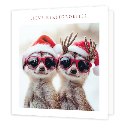 Lieve kerstgroetjes
