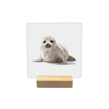 Zeehond - Decoratie tegel - Formaat: - Op deze decoratie tegel staat een illustratie van een jonge zeehond afgebeeld. Het dier heeft een lichte vacht met bruinachtige vlekken en kijkt recht vooruit. De zeehond rust op een witte ondergrond. - Snelwenskaart