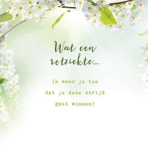 Op deze wenskaart staan witte bloemen met in het midden de tekst: "Wat een rotziekte... Ik wens je toe dat je deze strijd gaat winnen!".