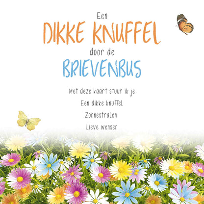 Op deze wenskaart staat een bloemenveld met vlinders en daarboven de tekst: "Een dikke knuffel door de brievenbus. Met deze kaart stuur ik je een dikke knuffel, zonnenstralen, lieve wensen".