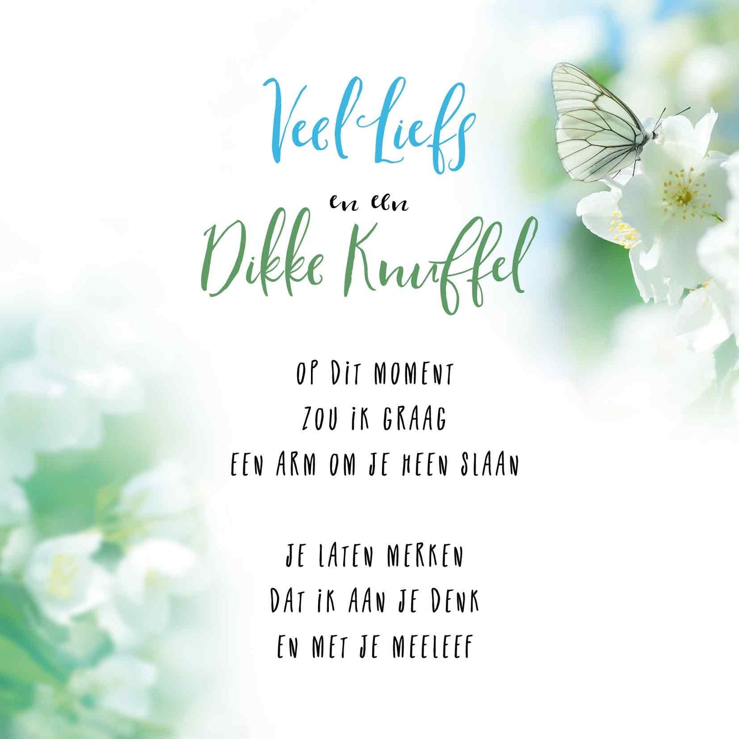 Op deze wenskaart staan witte bloemen en een vlinder met de tekst: "Veel liefs en een dikke knuffel. Opdit moment zou ik graag een arm om je heen slaan, je laten merken dat ik aan je denk en met je meeleef".