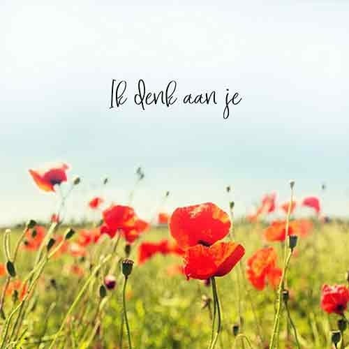Op deze wenskaart staat een veld met klaprozen en daarboven de tekst: "Ik denk aan je".