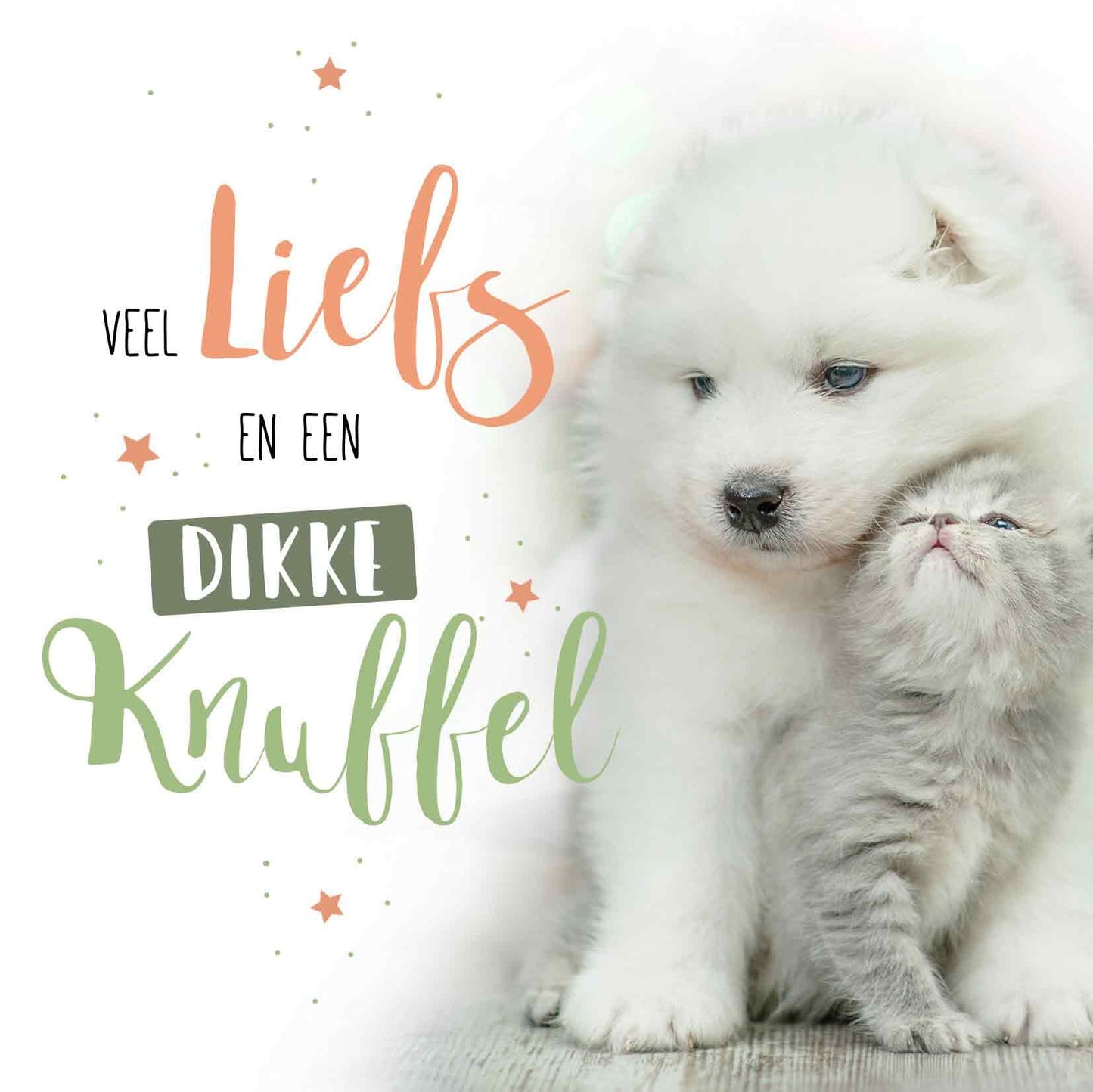 Op deze wenskaart staat een hond en een kat met daarnaast de tekst: "Veel liefs en een dikke knuffel".