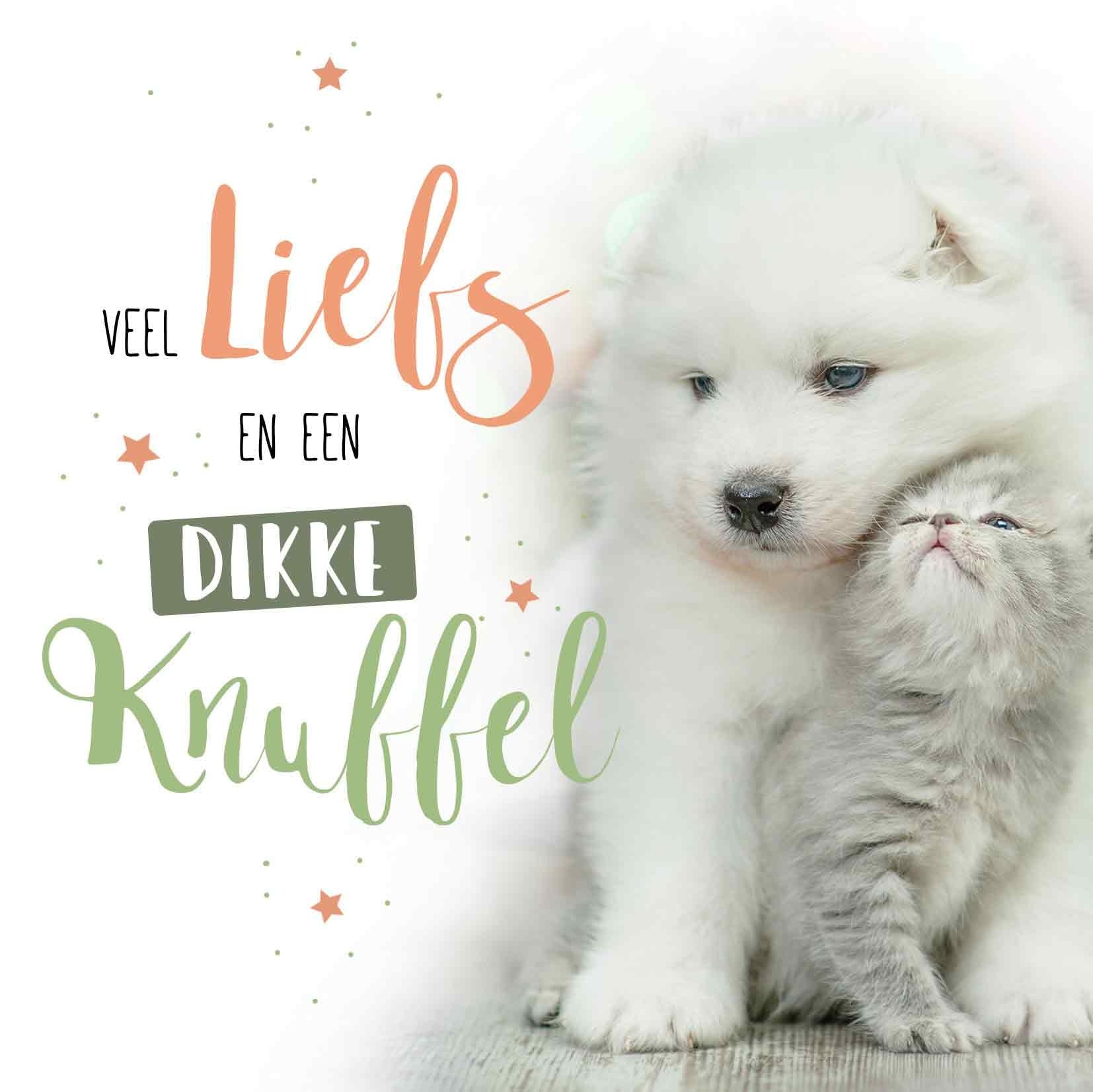 Op deze wenskaart staat een hond en een kat met daarnaast de tekst: "Veel liefs en een dikke knuffel".