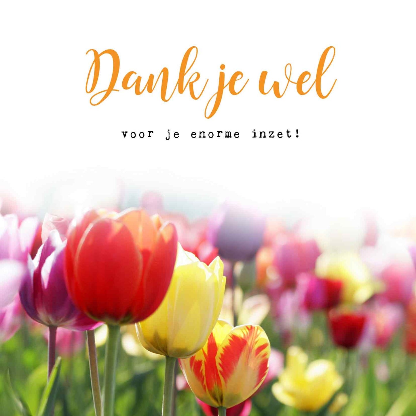 Op deze wenskaart staat een tulpenveld met daarboven de tekst: "Dank je wel voor je enorme inzet!".