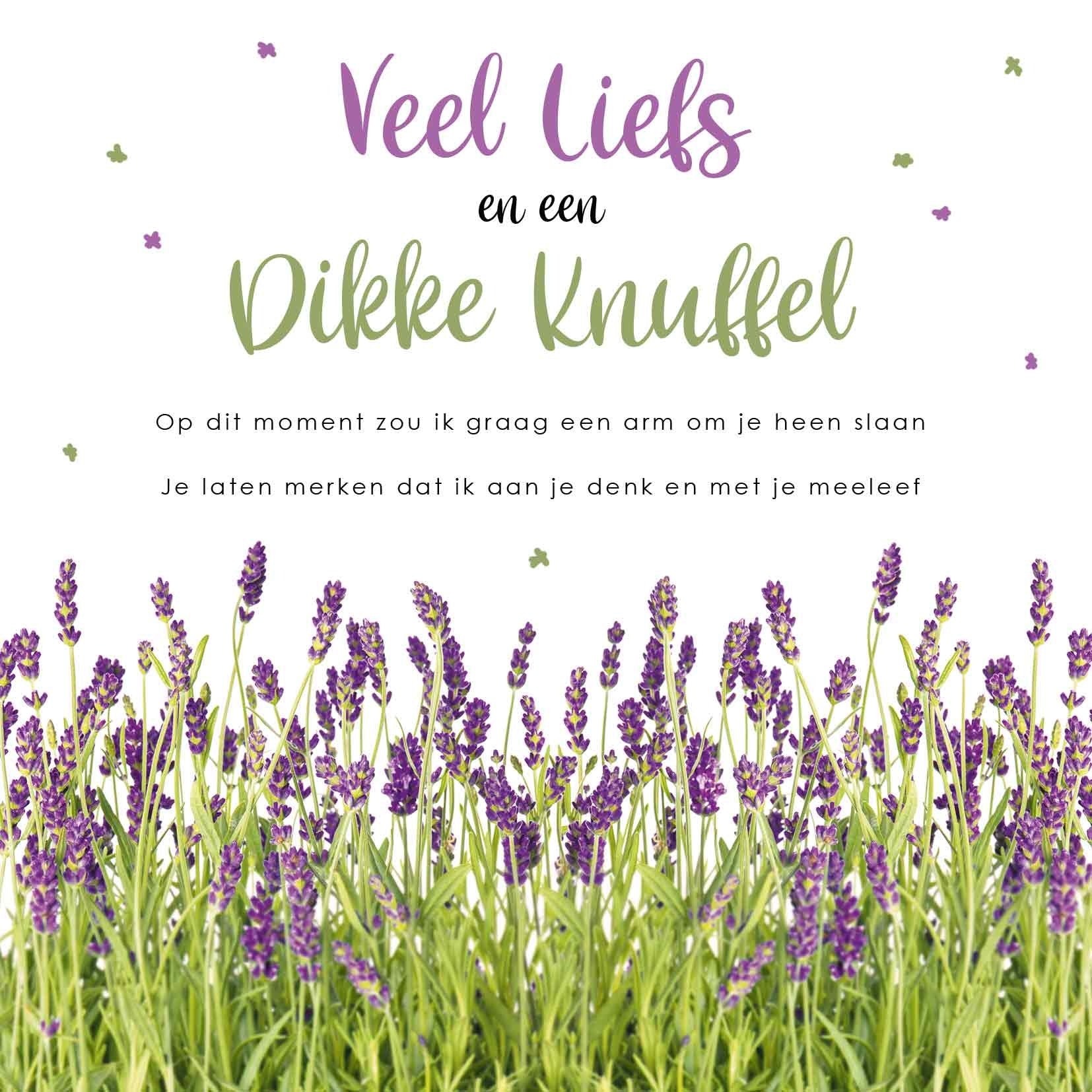 Op deze wenskaart staat een lavendelveld met daarboven de tekst: "Veel liefs en een dikke knuffel. Op dit moment zou ik graag een arm om je heen slaan, je laten merken dat ik aan je denk en met je meeleef".