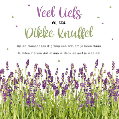 Op deze wenskaart staat een lavendelveld met daarboven de tekst: "Veel liefs en een dikke knuffel. Op dit moment zou ik graag een arm om je heen slaan, je laten merken dat ik aan je denk en met je meeleef".