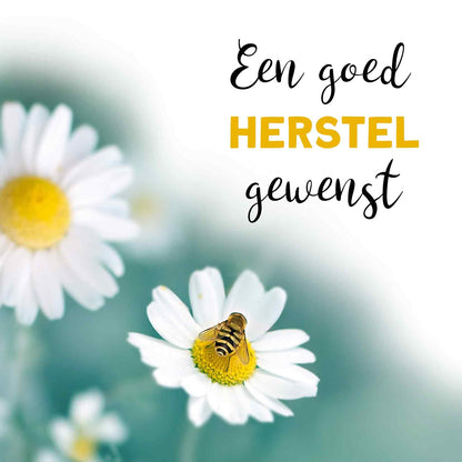 Op deze wenskaart staan witte bloemen en een bij, met daarnaast de tekst: "Een goed herstel gewenst".