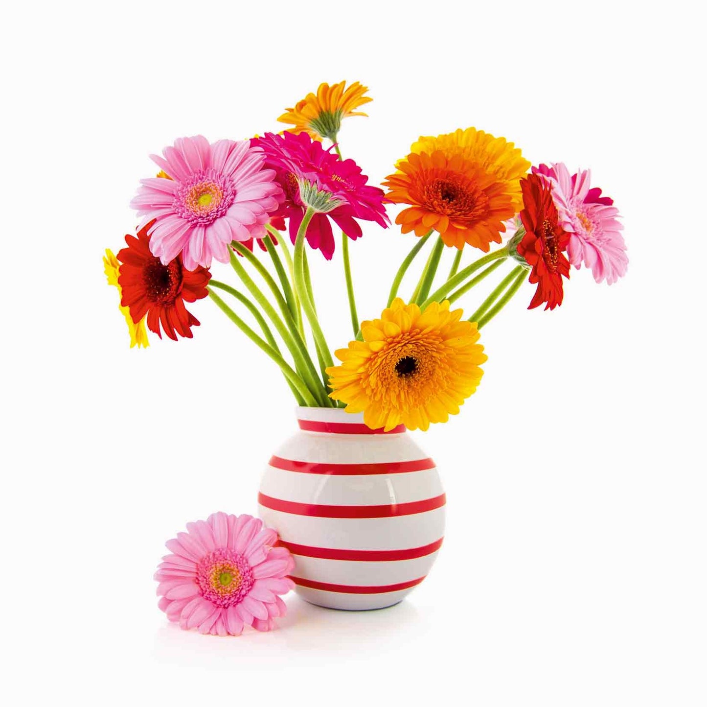 Op deze wenskaart staat een vaas met bloemen in de kleuren roze en oranje. 