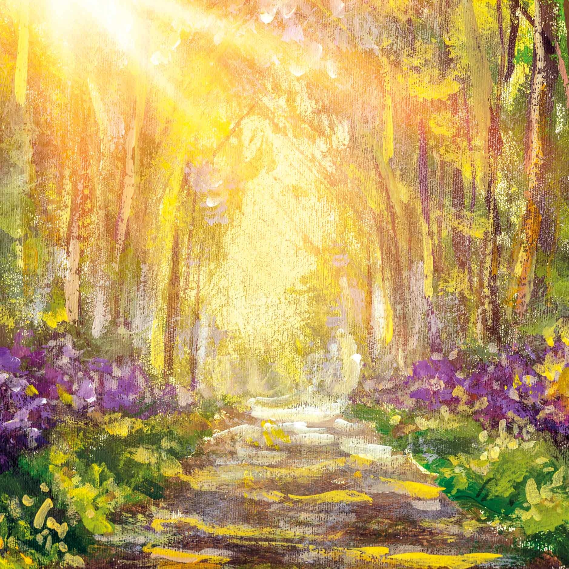 Op deze wenskaart staat een pad dat door een bos loopt.