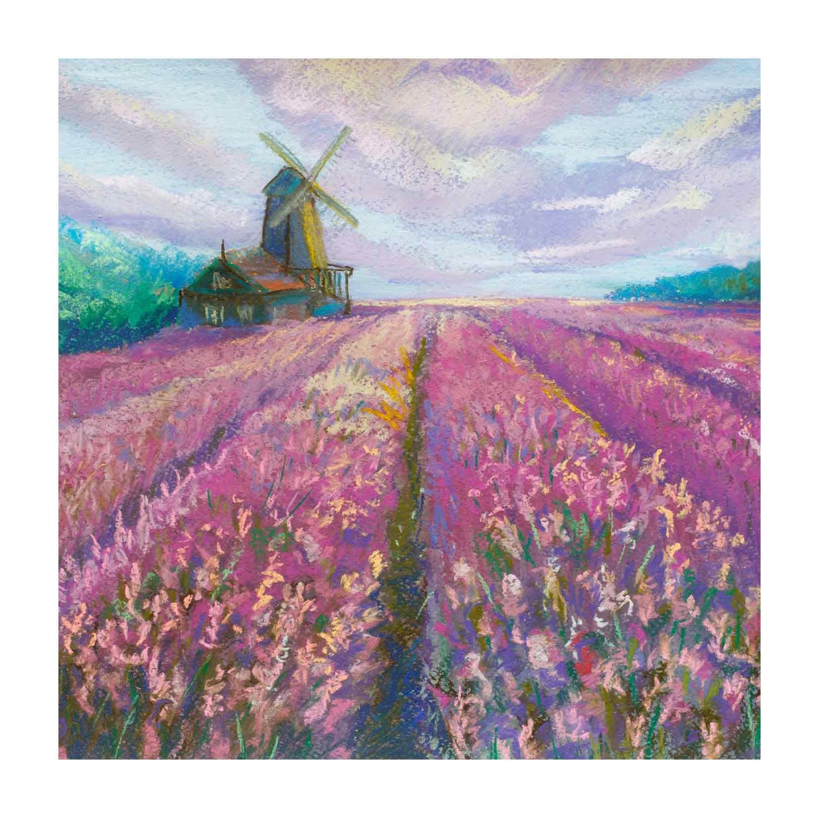 Op deze wenskaart staat een paarse bloemenveld met een molen.