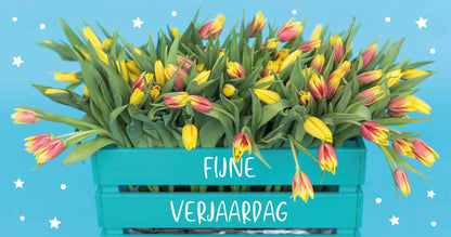 Fijne verjaardag