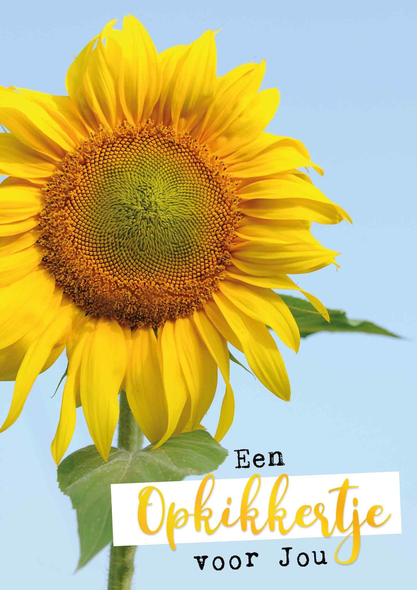 Een opkikkertje voor jou