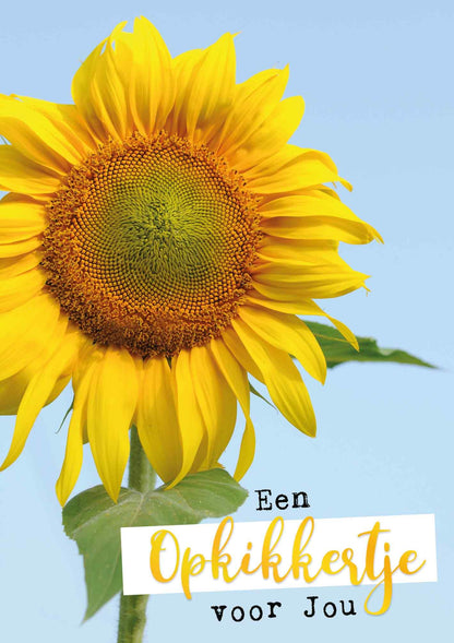 Een opkikkertje voor jou