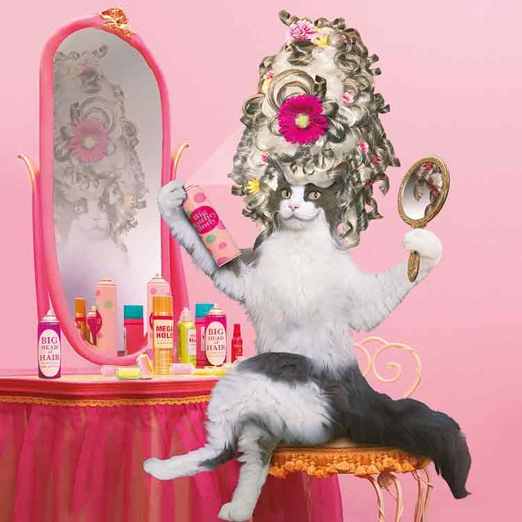 Op deze wenskaart staat een kat die op een stoel zit, achter een make-up tafel, die zijn haren aan het doen is.