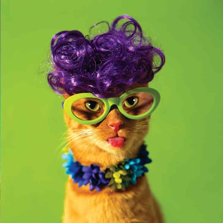 XL kaart - Happy birthday