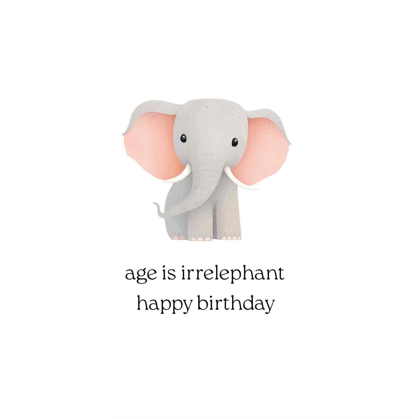 Age is irrelephant happy birthday