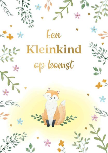 Een kleinkind op komst