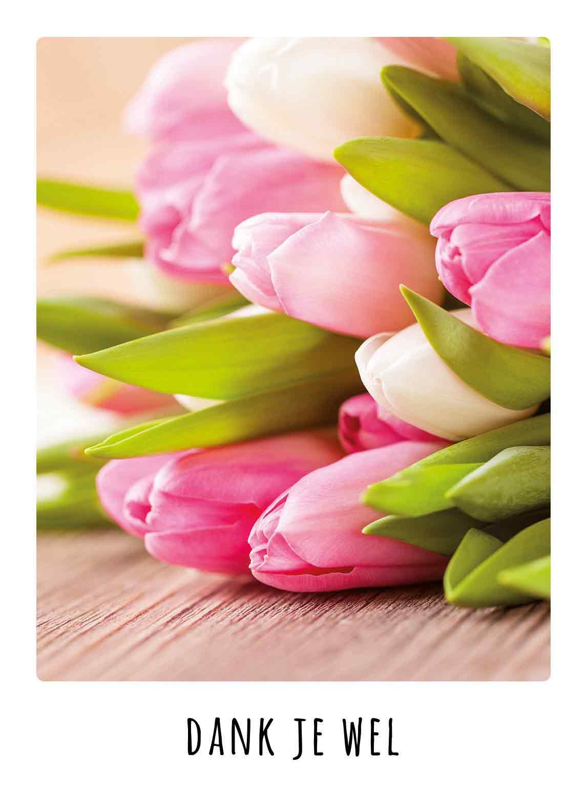 Dank je wel