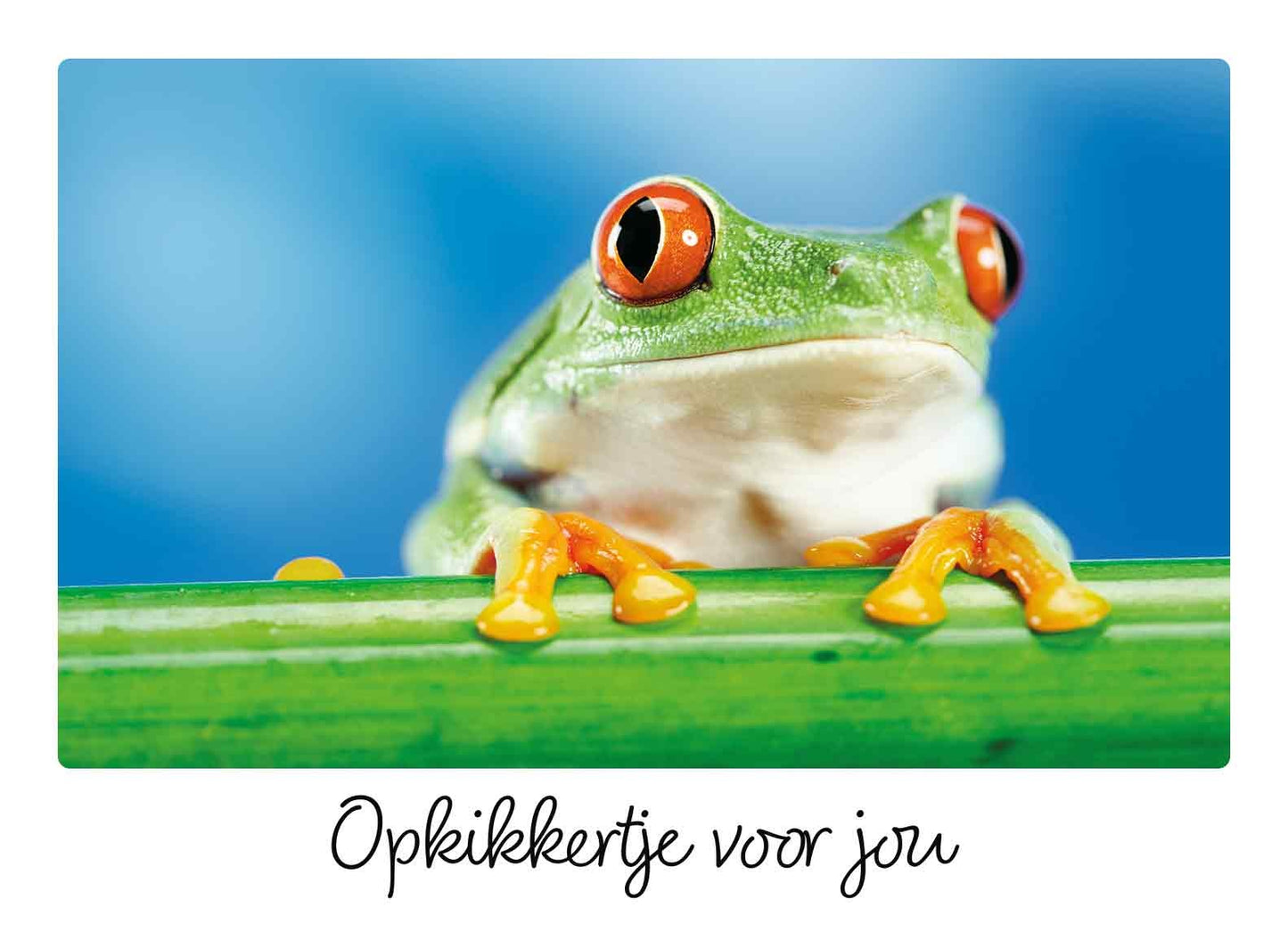 Opkikkertje voor jou