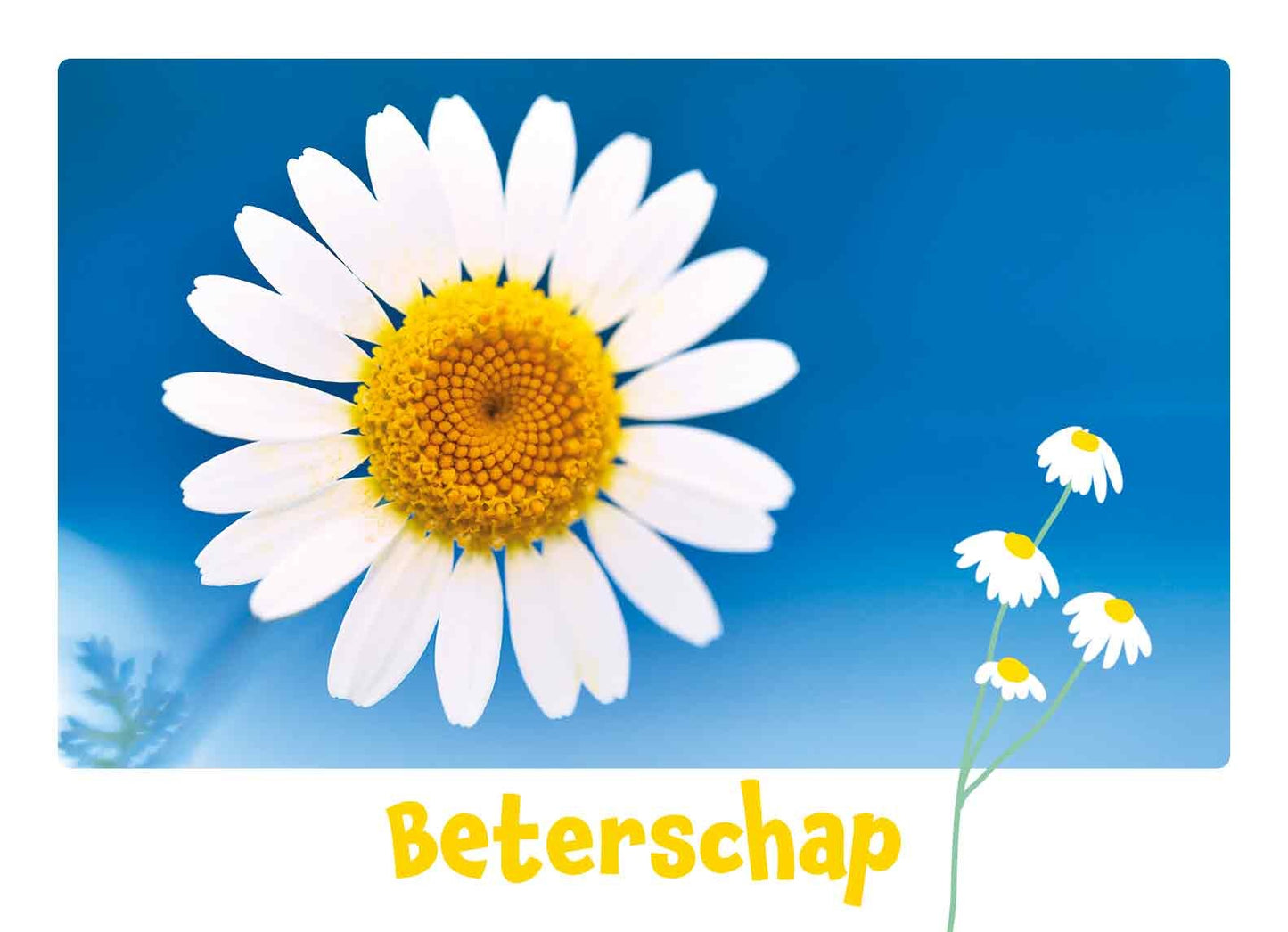 Beterschap
