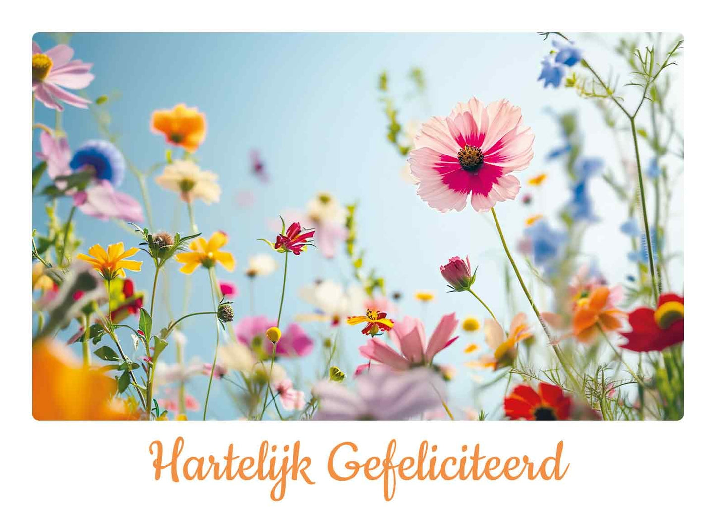 Hartelijk gefeliciteerd