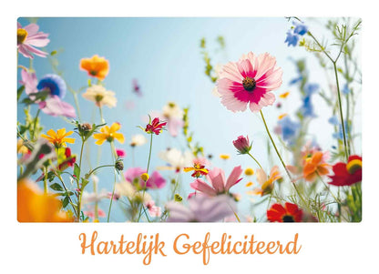 Hartelijk gefeliciteerd