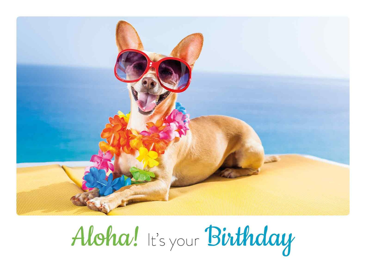 Aloha it's your birthday