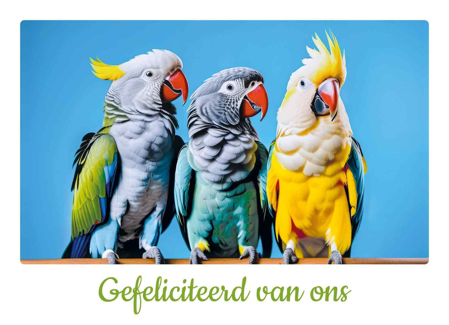 Gefeliciteerd van ons