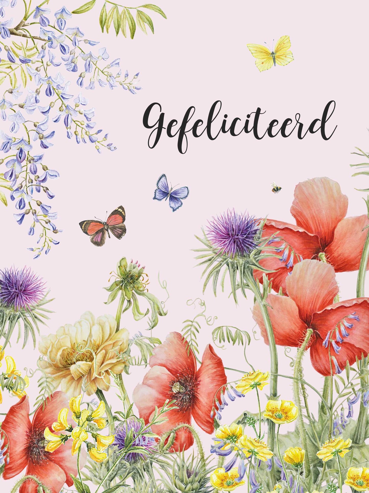 XL kaart - Gefeliciteerd