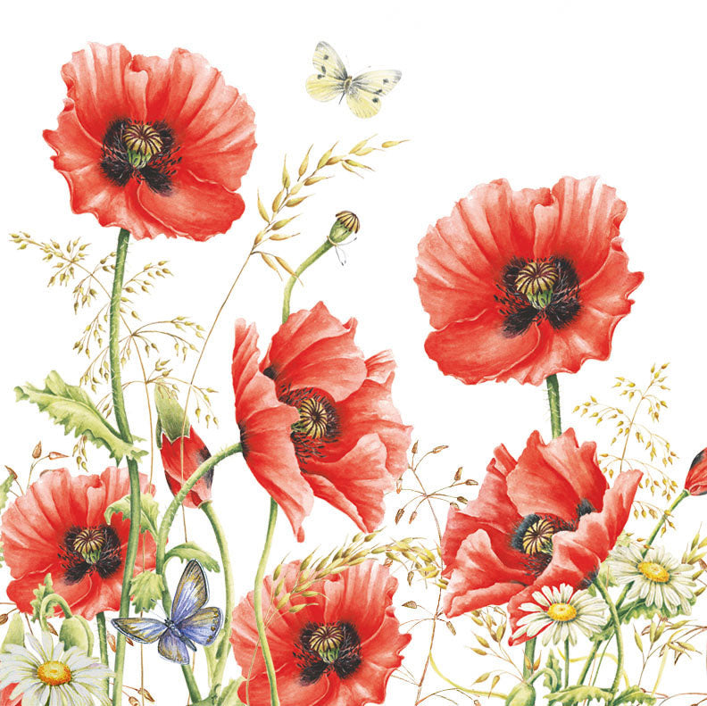 Minikaartje - Klaproos