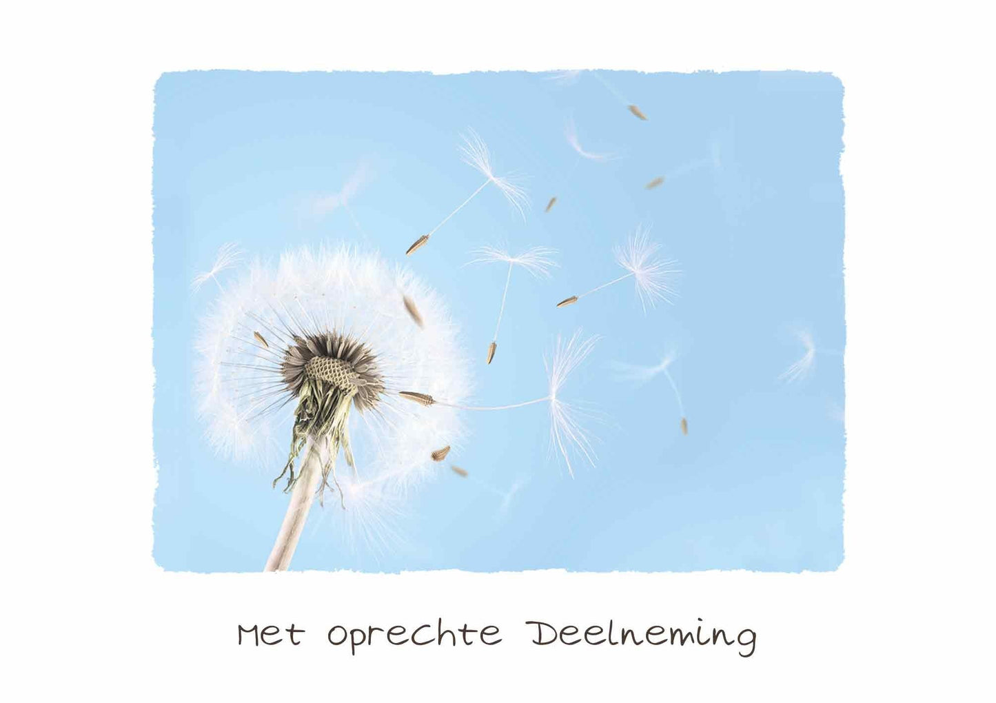 Wenskaart-condoleance-COR34-D