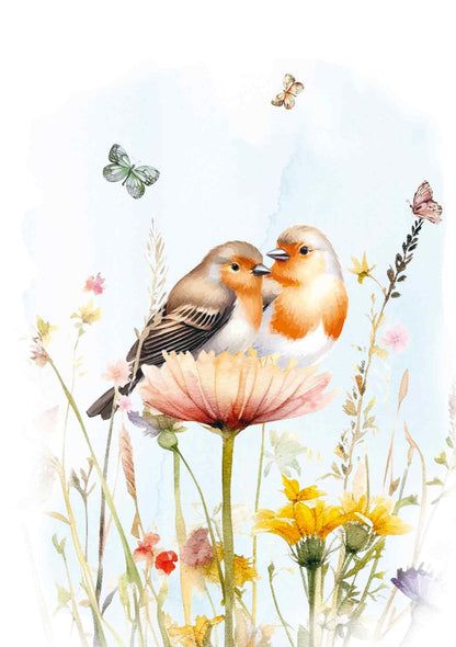 Roodborstje in natuur