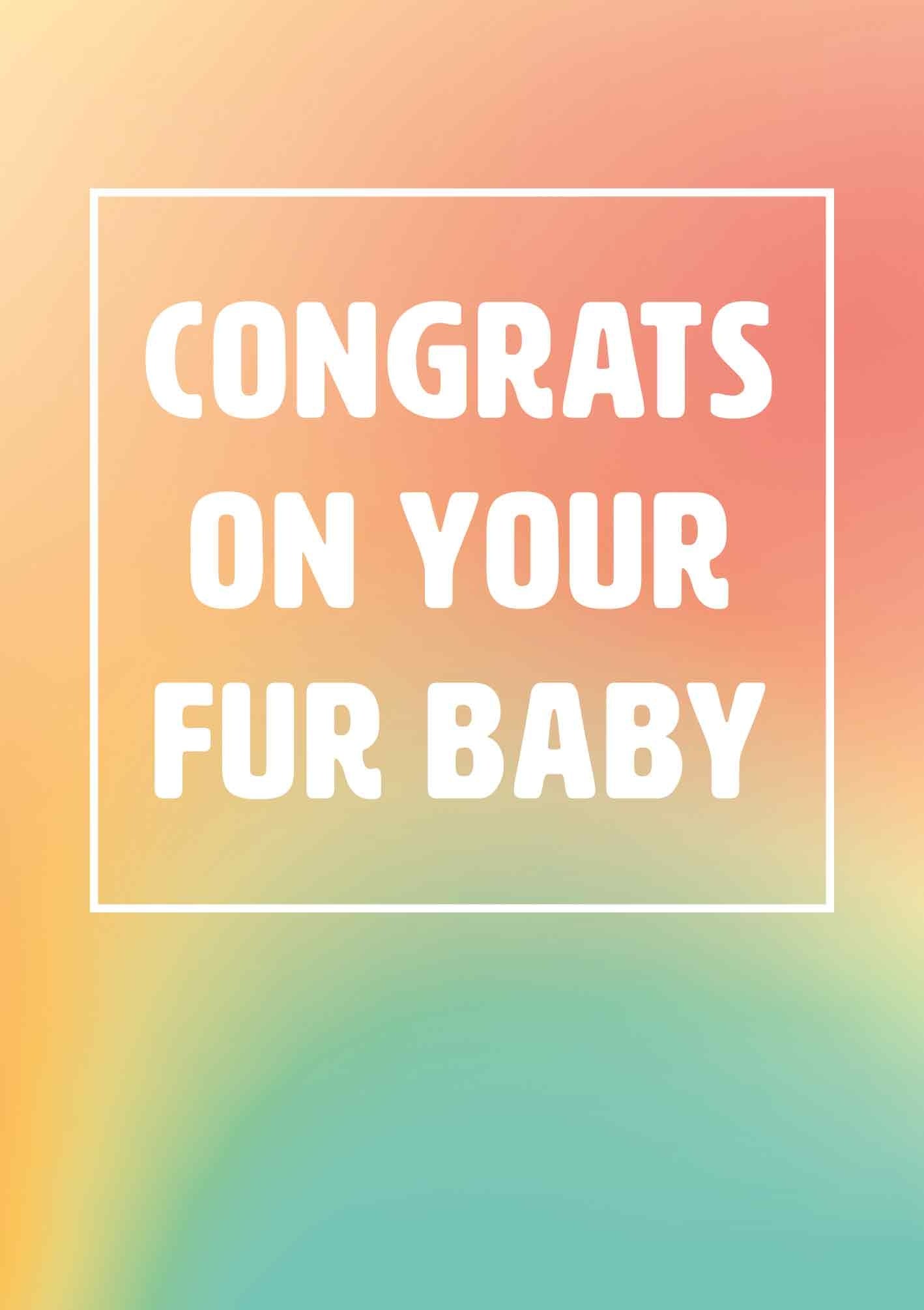 Op deze wenskaart staat de tekst: "Congrats on your fur baby" op een achtergrond met d ekleuren rood, geel en groen. 
